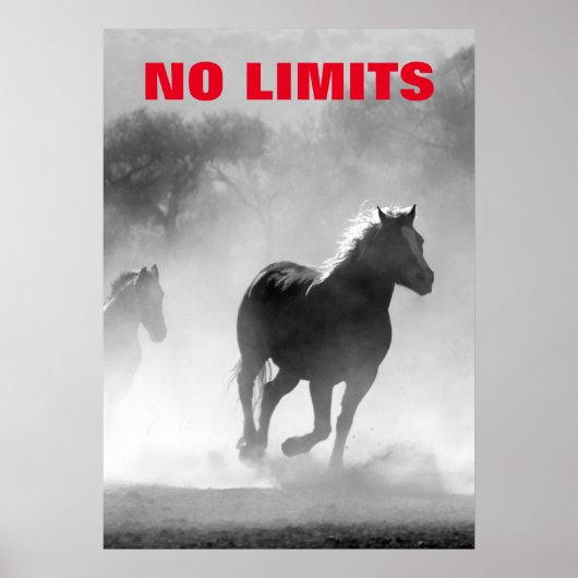 Poster Inspirationnel Sans Limites Chevaux Motivationnel (Devant)