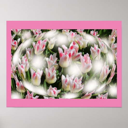 Poster Inspirations de tulipes (Devant)