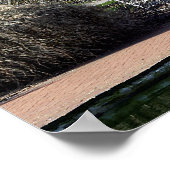 Poster inspiré du banc solitaire (Coin)