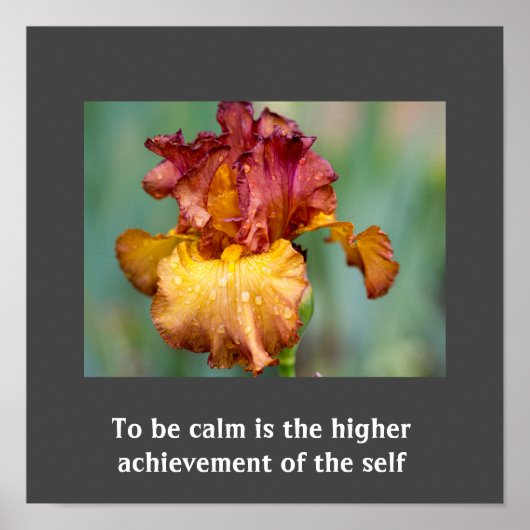 Poster Inspirerend prijsopgave (Voorkant)