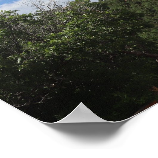 Poster Inspiring Boss (Coin)