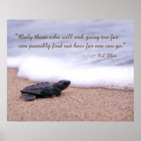 Inspiring Quote Baby Sea Turtle Sand Ocean