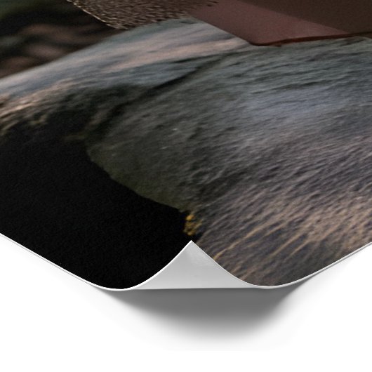 Poster Installation Whimsical De Thé Après-Midi Dans Forê (Coin)