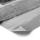 Poster Institut Smithsonian (Coin)