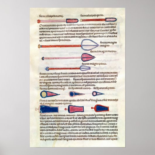 Poster Instruments chirurgicaux d'un traité (Devant)