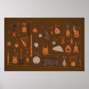 Poster Instruments de musique à chaîne
