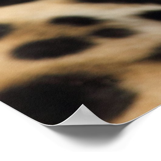 Poster intégrité (Coin)