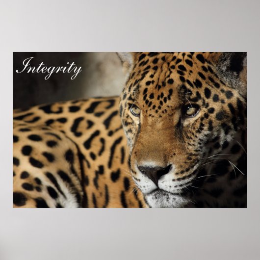 Poster intégrité (Devant)