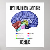 Poster Intelligent Matter Inside (Anatomical Brain Humor) (Devant)