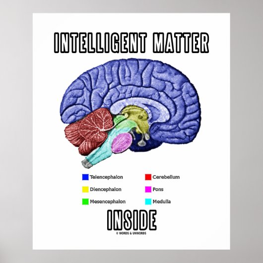 Poster Intelligent Matter Inside (Anatomical Brain Humor) (Devant)
