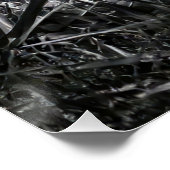 Poster  Intense Black & White King Cobra Fine Art Print | (Coin)