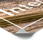 Poster Intensité Chipmunk Stare (Coin)