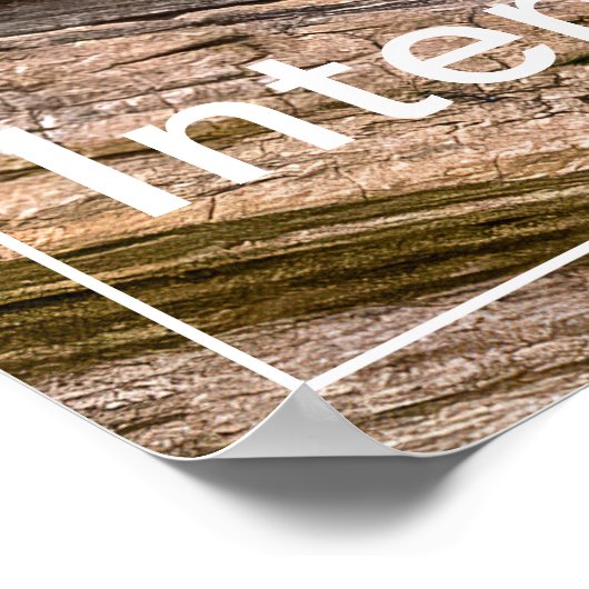 Poster Intensité Chipmunk Stare (Coin)