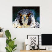 Poster Intensité - Le regard du faucon (Bureau à domicile)