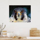 Poster Intensité - Le regard du faucon (Cuisine)