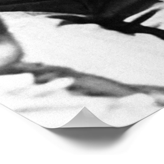 POSTER INTERDICTION - LES ANCIENS COMBATTANTS VEULENT DE (Coin)