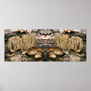 Poster Intéressant champignons sauvages miroir Abstrait