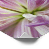 Poster Intérieur (Coin)