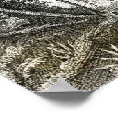 Poster Intérieur d'une forêt primitive dans les Amazones (Coin)