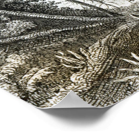 Poster Intérieur d'une forêt primitive dans les Amazones (Coin)