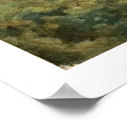 Poster Intérieur forestier avec cascade, Papigno (Coin)