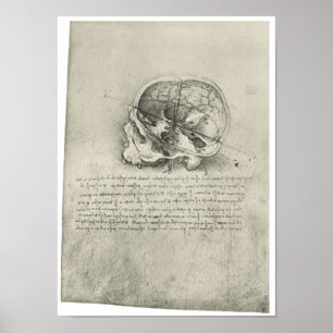 Poster Interior View of the Skull, Leonardo da Vinci