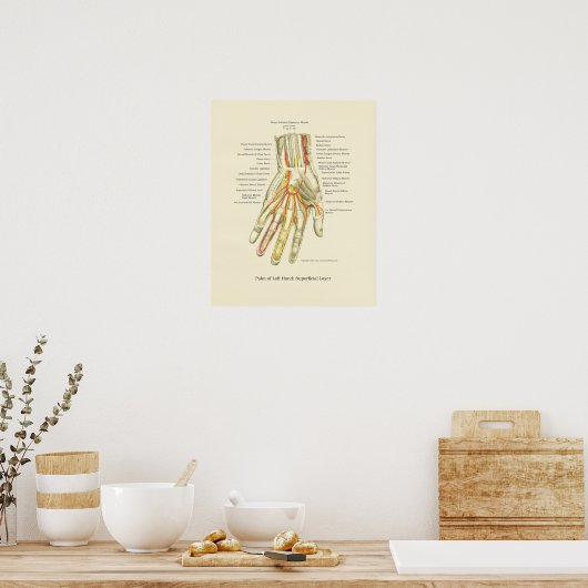 Poster interne anatomie met hand en pols (Keuken)