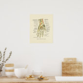 Poster interne anatomie met hand en pols (Keuken)