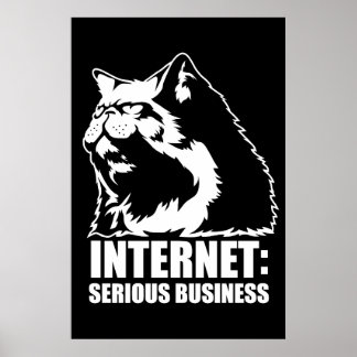 Poster Internet: Serious Business (lolcat funny tshirt)