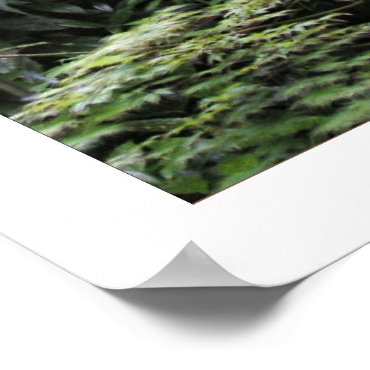 POSTER INTITULÉ (Coin)