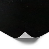 Poster Introduction (Coin)