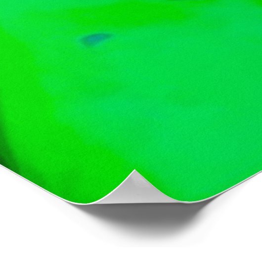 Poster Introduction (Coin)