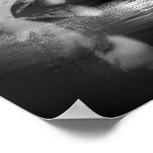 Poster Introduction (Coin)