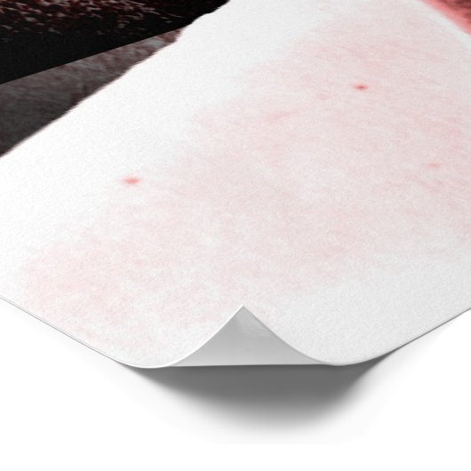 Poster introspection (Coin)