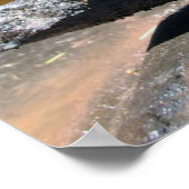 Poster Inuksuit (Coin)