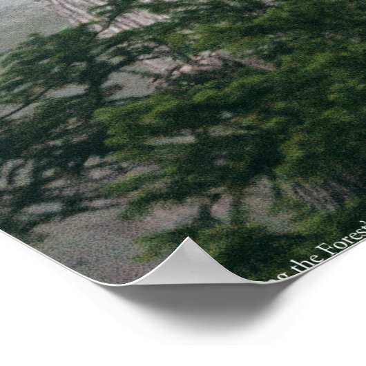 Poster Invoquer la forêt (Coin)