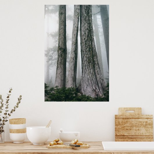 Poster Invoquer la forêt (Cuisine)