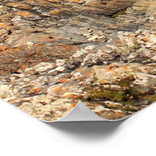 Poster Iona, île écossaise, belle côte rocheuse (Coin)