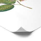 Poster Ipil (Intsia bijuga) Flores forestières philippine (Coin)