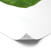 Poster Ipomoea Indica (Coin)