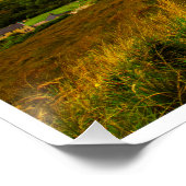 Poster . Ireland's "Heavenly Glen": The Mystical Dunlewey (Coin)