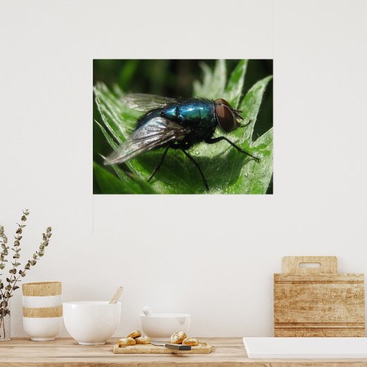 Poster Iridescence - Bouteille bleue (Cuisine)