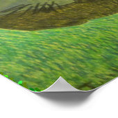 Poster Irina Le Chat Sur L'Herbe Par Julia Hanna (Coin)