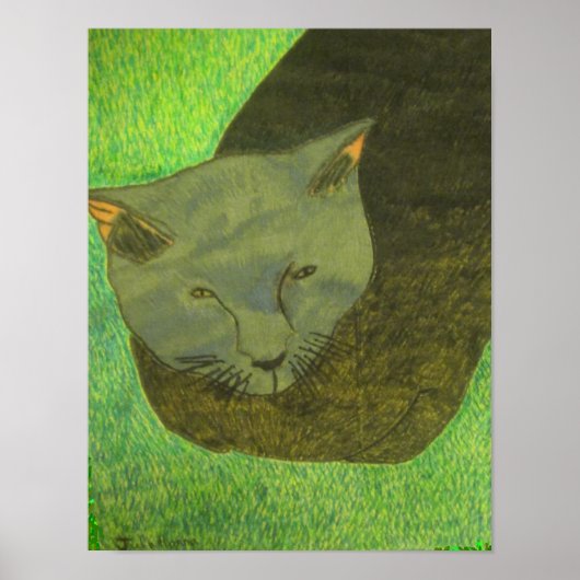Poster Irina Le Chat Sur L'Herbe Par Julia Hanna (Devant)