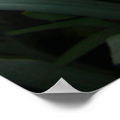 POSTER IRIS (Coin)