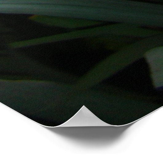 POSTER IRIS (Coin)