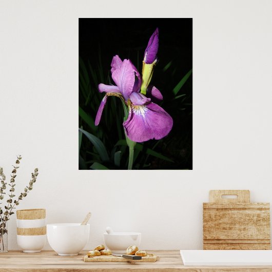 POSTER IRIS (Cuisine)