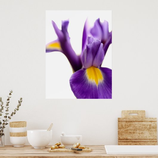Poster Iris (Cuisine)