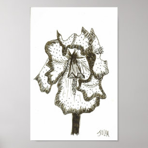Poster Iris