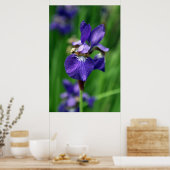 Poster Iris (Cuisine)
